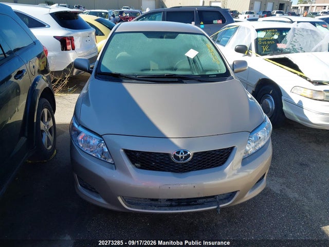 Продажа на аукционе авто 2010 Toyota Corolla Ce, vin: 2T1BU4EE6AC246762, номер лота: 20273285