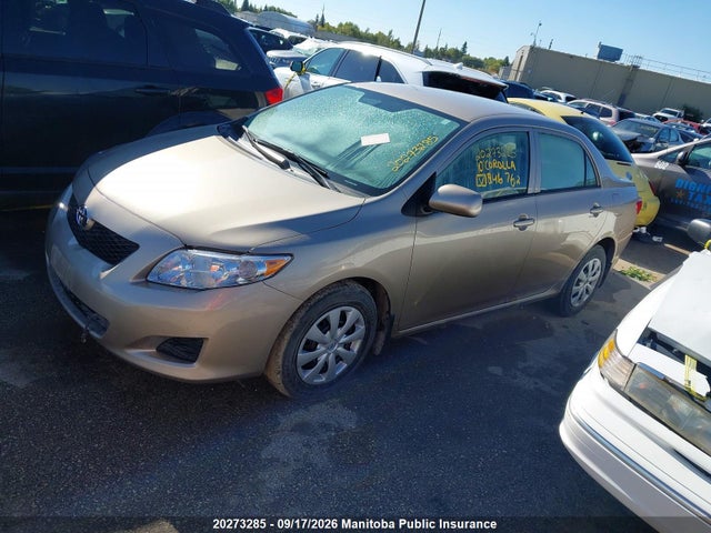 Продажа на аукционе авто 2010 Toyota Corolla Ce, vin: 2T1BU4EE6AC246762, номер лота: 20273285
