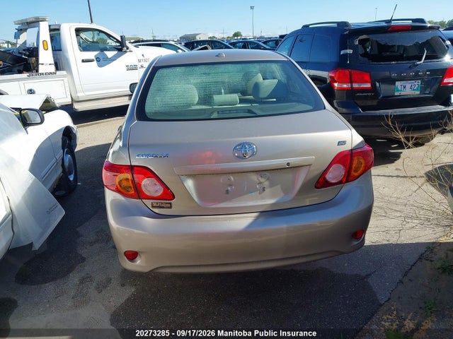 Продажа на аукционе авто 2010 Toyota Corolla Ce, vin: 2T1BU4EE6AC246762, номер лота: 20273285