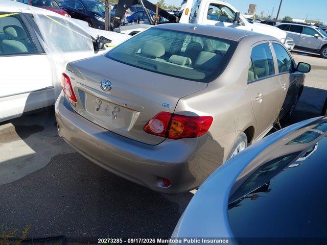 Продажа на аукционе авто 2010 Toyota Corolla Ce, vin: 2T1BU4EE6AC246762, номер лота: 20273285