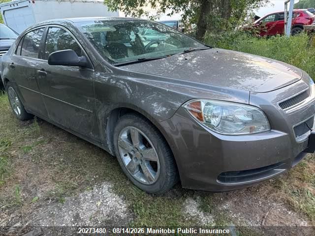 2011 Chevrolet Malibu Ls მანქანა იყიდება აუქციონზე, vin: 1G1ZB5EU7BF387097, აუქციონის ნომერი: 20273480