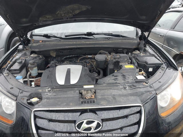 Aukcja sprzedaży 2010 Hyundai Santa Fe Gl, vin: 5NMSGDAG8AH411266, numer aukcji: 20273578