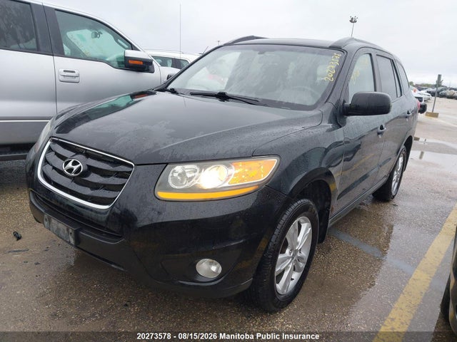 Aukcja sprzedaży 2010 Hyundai Santa Fe Gl, vin: 5NMSGDAG8AH411266, numer aukcji: 20273578