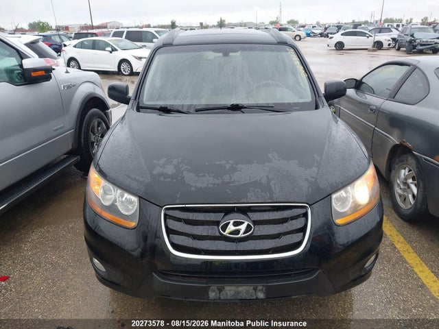Aukcja sprzedaży 2010 Hyundai Santa Fe Gl, vin: 5NMSGDAG8AH411266, numer aukcji: 20273578