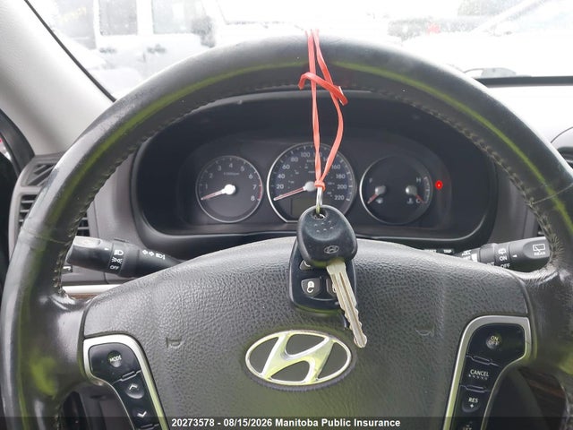Aukcja sprzedaży 2010 Hyundai Santa Fe Gl, vin: 5NMSGDAG8AH411266, numer aukcji: 20273578