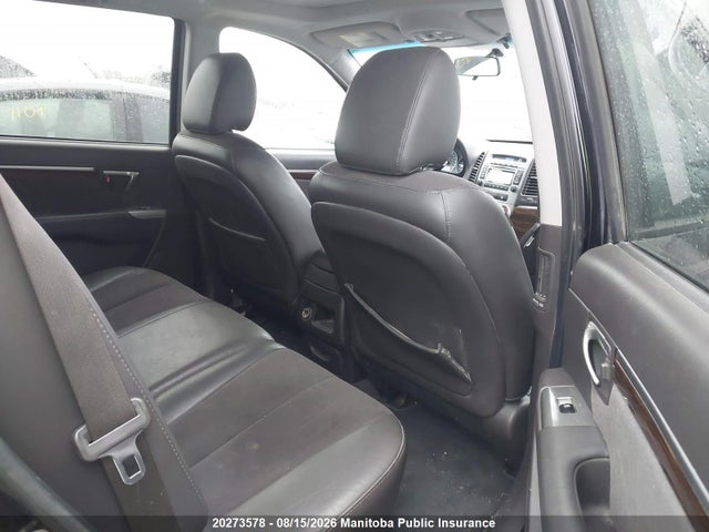 Aukcja sprzedaży 2010 Hyundai Santa Fe Gl, vin: 5NMSGDAG8AH411266, numer aukcji: 20273578
