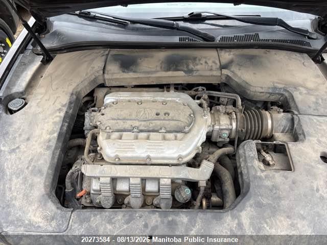 Продаж на аукціоні авто 2010 Acura Tl, vin: 19UUA9F52AA800205, номер лоту: 20273584