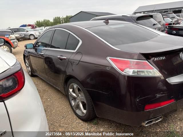 Продаж на аукціоні авто 2010 Acura Tl, vin: 19UUA9F52AA800205, номер лоту: 20273584