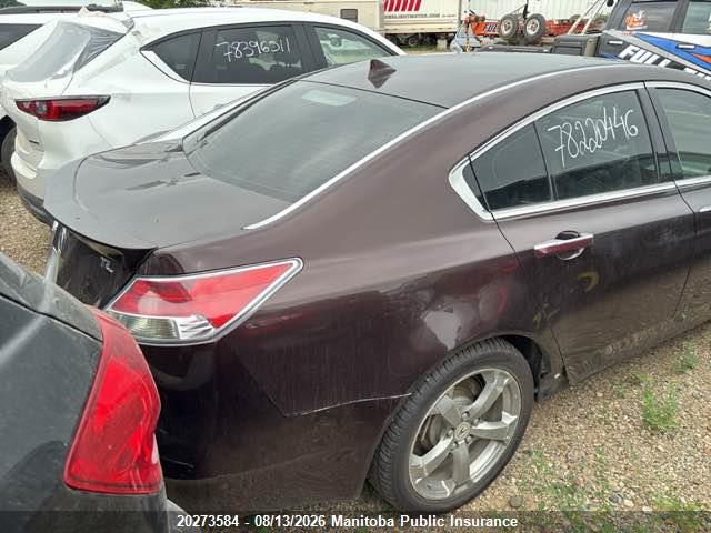 Продаж на аукціоні авто 2010 Acura Tl, vin: 19UUA9F52AA800205, номер лоту: 20273584