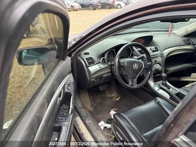 Продаж на аукціоні авто 2010 Acura Tl, vin: 19UUA9F52AA800205, номер лоту: 20273584