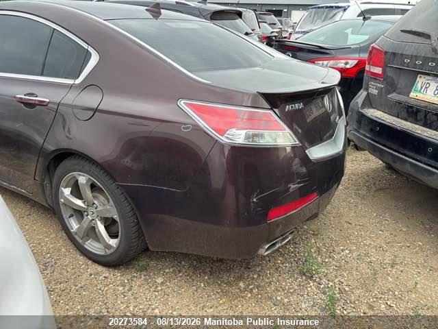Продаж на аукціоні авто 2010 Acura Tl, vin: 19UUA9F52AA800205, номер лоту: 20273584