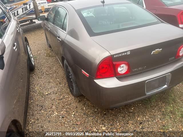 20273791 :رقم المزاد ، 1G1ZC5EU2BF365764 vin ، 2011 Chevrolet Malibu Lt مزاد بيع