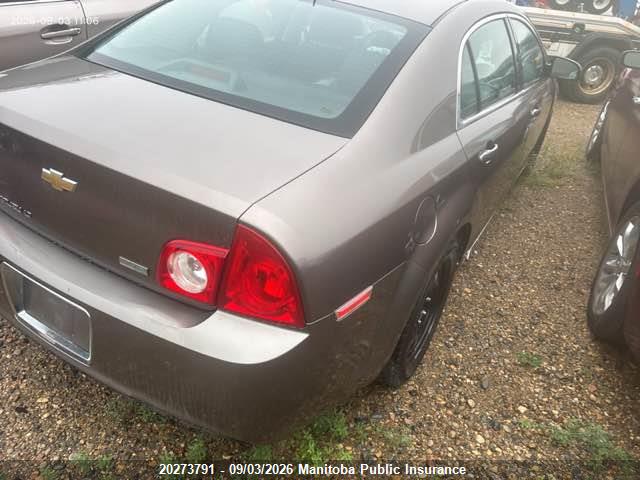 20273791 :رقم المزاد ، 1G1ZC5EU2BF365764 vin ، 2011 Chevrolet Malibu Lt مزاد بيع