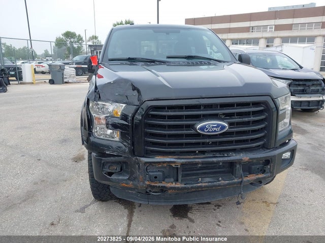 20273825 :رقم المزاد ، 1FTEW1EG6GFA33320 vin ، 2016 Ford F150 Xlt Supercrew مزاد بيع