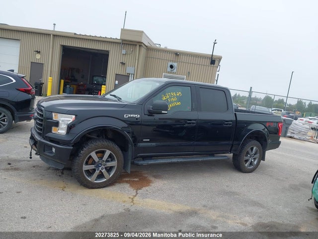 20273825 :رقم المزاد ، 1FTEW1EG6GFA33320 vin ، 2016 Ford F150 Xlt Supercrew مزاد بيع