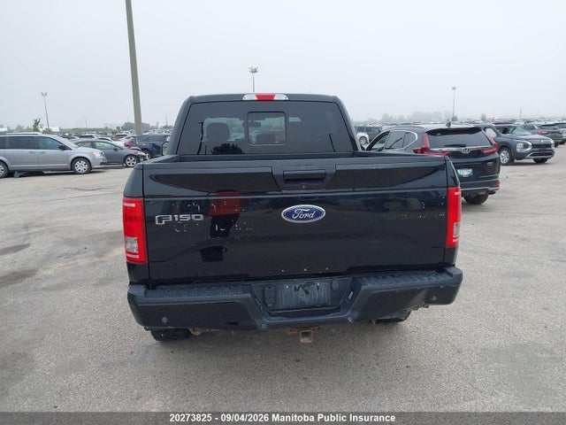 20273825 :رقم المزاد ، 1FTEW1EG6GFA33320 vin ، 2016 Ford F150 Xlt Supercrew مزاد بيع
