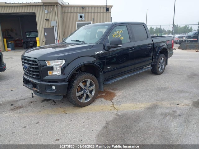 20273825 :رقم المزاد ، 1FTEW1EG6GFA33320 vin ، 2016 Ford F150 Xlt Supercrew مزاد بيع
