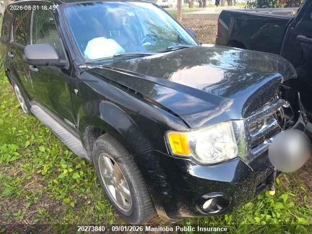 Продаж на аукціоні авто 2008 Ford Escape Xlt V6, vin: 1FMCU93128KE67331, номер лоту: 20273840