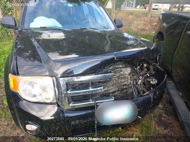 Продаж на аукціоні авто 2008 Ford Escape Xlt V6, vin: 1FMCU93128KE67331, номер лоту: 20273840