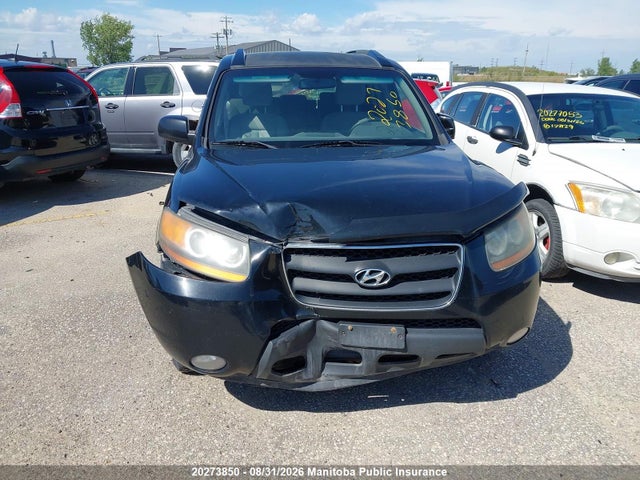 Продажа на аукционе авто 2009 Hyundai Santa Fe Gls, vin: 5NMSG73E89H261569, номер лота: 20273850
