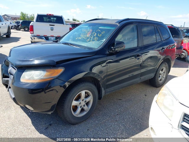 Продажа на аукционе авто 2009 Hyundai Santa Fe Gls, vin: 5NMSG73E89H261569, номер лота: 20273850