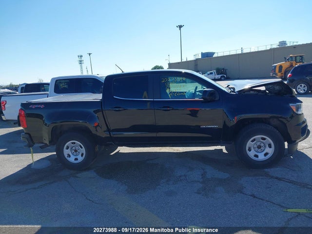 Auction sale of the 2019 Chevrolet Colorado Wt Crew Cab, vin: 1GCGTBEN9K1168111, lot number: 20273988