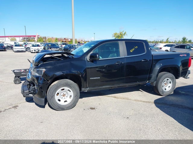 Auction sale of the 2019 Chevrolet Colorado Wt Crew Cab, vin: 1GCGTBEN9K1168111, lot number: 20273988