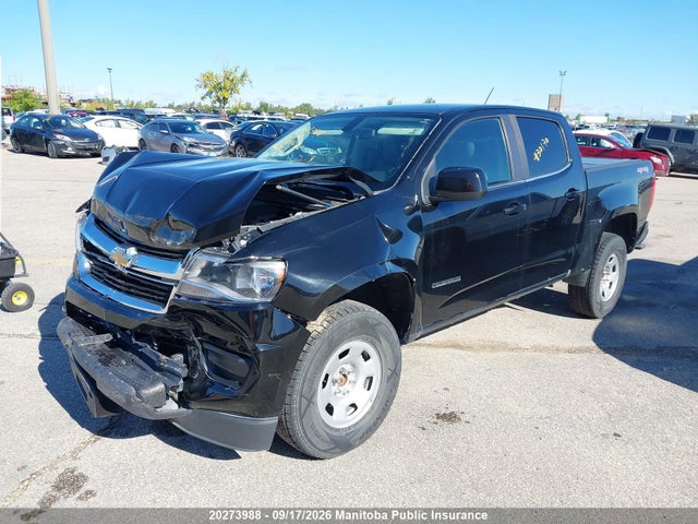 Auction sale of the 2019 Chevrolet Colorado Wt Crew Cab, vin: 1GCGTBEN9K1168111, lot number: 20273988