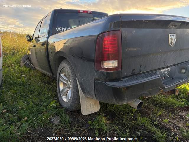 20274030 :رقم المزاد ، 1C6RR7MTXDS552312 vin ، 2013 Dodge Ram 1500 Sport Crew Cab مزاد بيع
