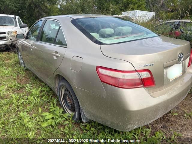 Продажа на аукционе авто 2009 Toyota Camry, vin: 4T1BE46K09U382073, номер лота: 20274044