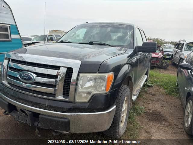 Aukcja sprzedaży 2012 Ford F150 Xlt Supercrew, vin: 1FTFW1EF2CFC62650, numer aukcji: 20274056