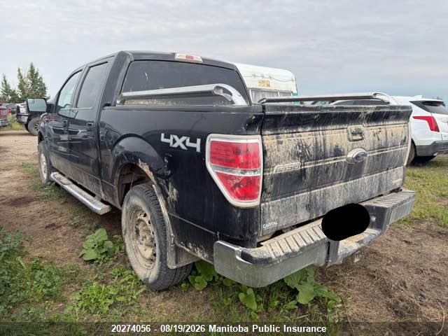 Aukcja sprzedaży 2012 Ford F150 Xlt Supercrew, vin: 1FTFW1EF2CFC62650, numer aukcji: 20274056