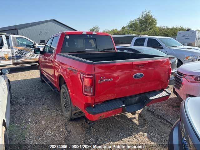 Ford F-Series 2015 1FTEW1EG7FFA31557 Image 3
