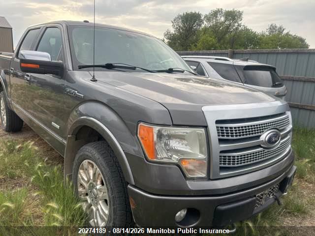 Продажа на аукционе авто 2012 Ford F150 Platinum Supercrew, vin: 1FTFW1ET6CFC43802, номер лота: 20274189