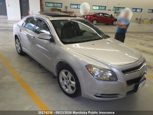 Auction sale of the 2009 Chevrolet Malibu Lt, vin: 1G1ZH57B99F105336, lot number: 20274236