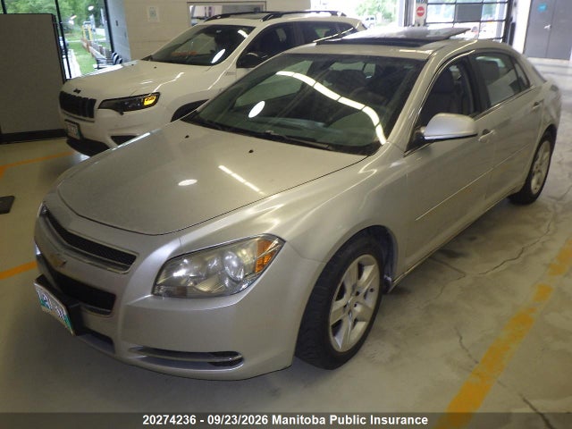 Продаж на аукціоні авто 2009 Chevrolet Malibu Lt, vin: 1G1ZH57B99F105336, номер лоту: 20274236