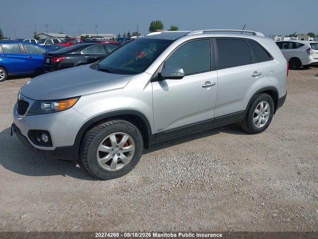 Продаж на аукціоні авто 2013 Kia Sorento Lx V6, vin: 5XYKTDA21DG377699, номер лоту: 20274268