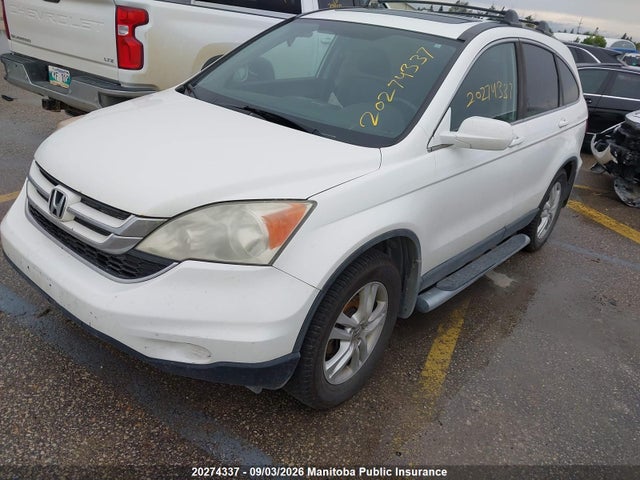 20274337 :رقم المزاد ، 5J6RE4H73BL800210 vin ، 2011 Honda Cr-v Ex-l مزاد بيع