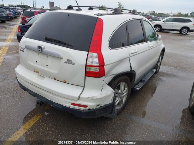 20274337 :رقم المزاد ، 5J6RE4H73BL800210 vin ، 2011 Honda Cr-v Ex-l مزاد بيع