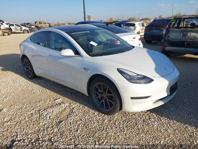 2020 Tesla Model 3 Standard Range Plus 50 მანქანა იყიდება აუქციონზე, vin: 5YJ3E1EAXLF715993, აუქციონის ნომერი: 20274405
