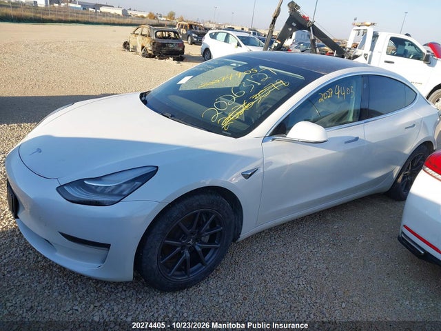 2020 Tesla Model 3 Standard Range Plus 50 მანქანა იყიდება აუქციონზე, vin: 5YJ3E1EAXLF715993, აუქციონის ნომერი: 20274405