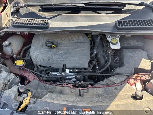 Ford ESCAPE SE 2017 1FMCU9GD9HUA41709 Image 8