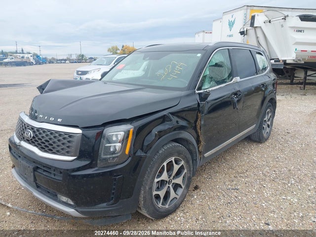 Продажа на аукционе авто 2020 Kia Telluride Ex, vin: 5XYP3DHC0LG013938, номер лота: 20274460