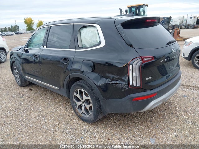 Продажа на аукционе авто 2020 Kia Telluride Ex, vin: 5XYP3DHC0LG013938, номер лота: 20274460