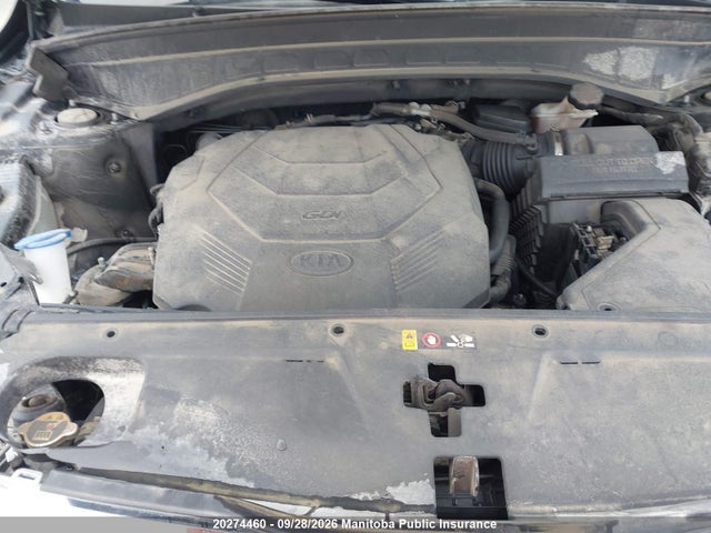 Продажа на аукционе авто 2020 Kia Telluride Ex, vin: 5XYP3DHC0LG013938, номер лота: 20274460
