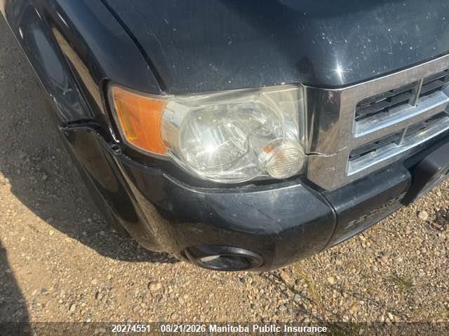 Продажа на аукционе авто 2010 Ford Escape Xlt V6, vin: 1FMCU9DG9AKD35076, номер лота: 20274551