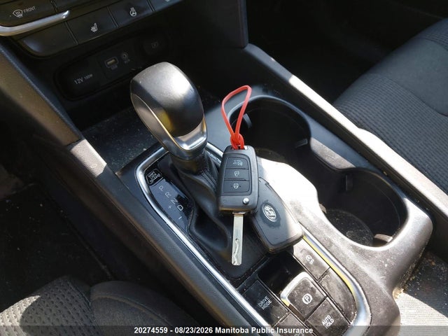 5NMS2CAD0LH238974 Hyundai Santa Fe Essential