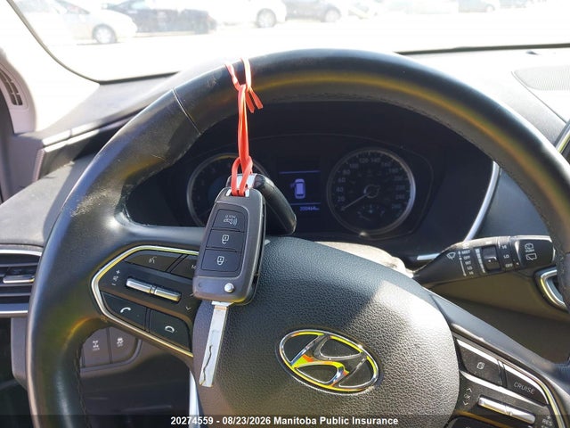 5NMS2CAD0LH238974 Hyundai Santa Fe Essential