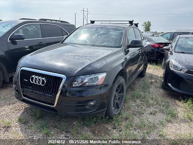 Продаж на аукціоні авто 2009 Audi Q5 V6, vin: WA1KK68R29A051977, номер лоту: 20274612