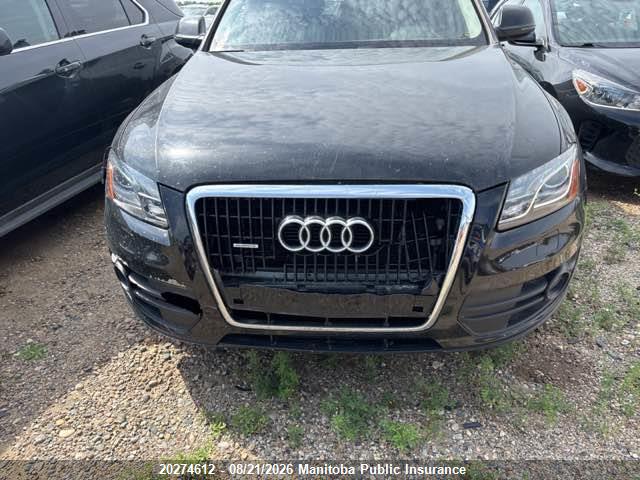Продаж на аукціоні авто 2009 Audi Q5 V6, vin: WA1KK68R29A051977, номер лоту: 20274612
